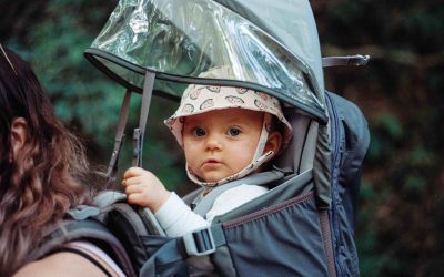 Core concepts of childhood development