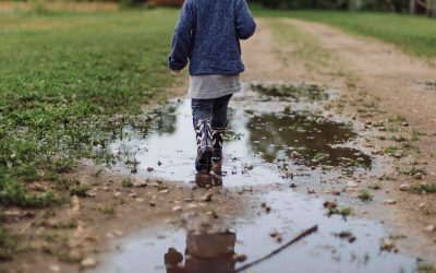 How much structure and freedom to give your child