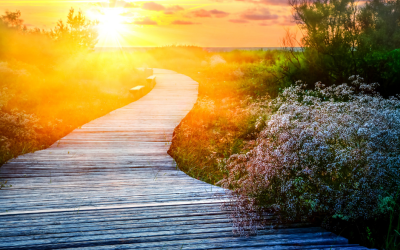 Problem-Solving Skills to Strengthen Relationships