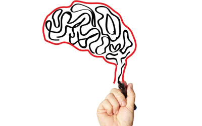 Early Attachment Relationships and Their Impact on the Brain’s Wiring