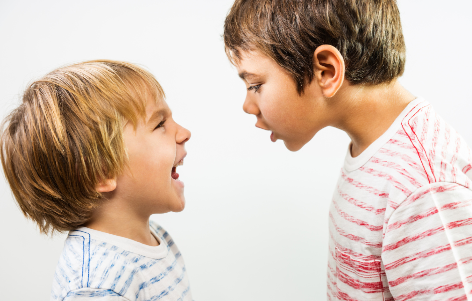 How to Handle Sibling Conflict