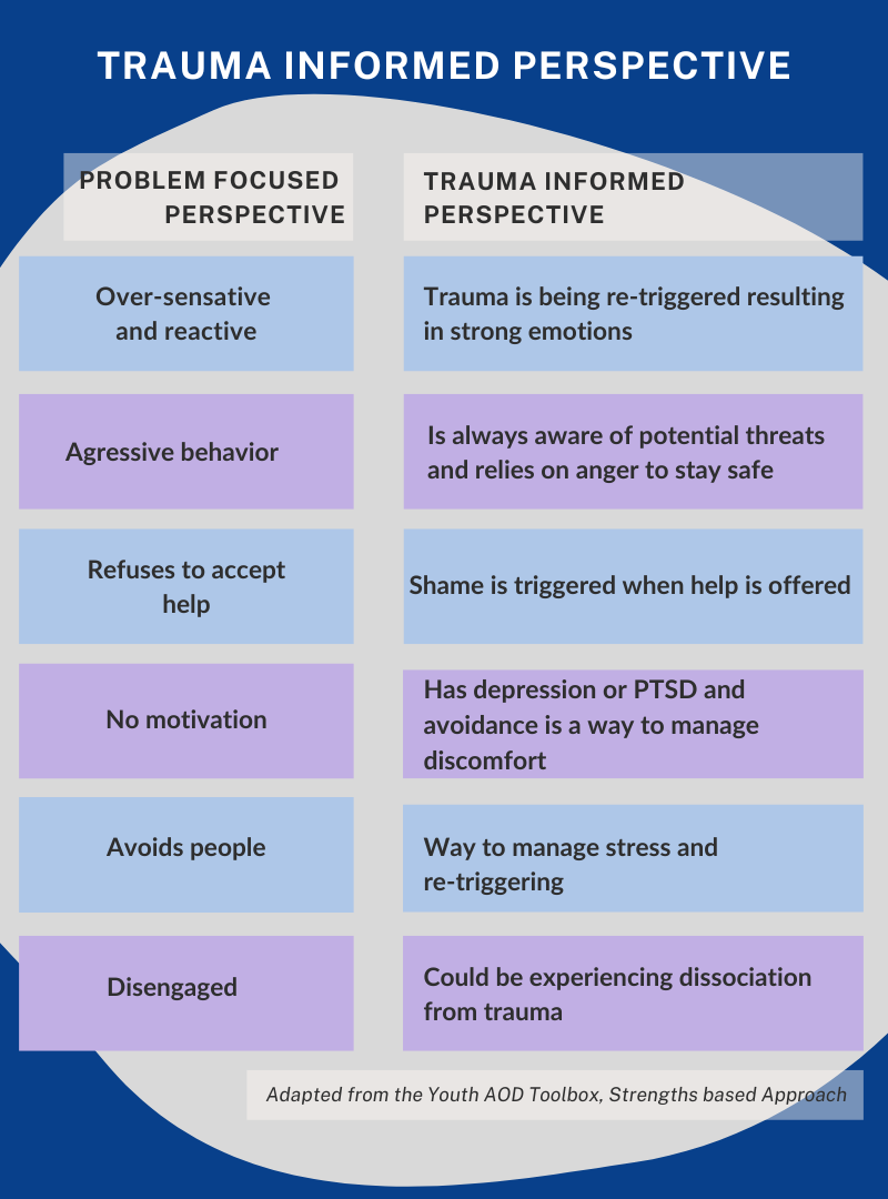 What Is Included In A Trauma Responsive Approach